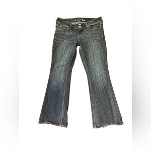American Eagle Artist Y2K vibes Flare stretch fit Jeans Sz.10